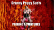 Pregled videozapisa