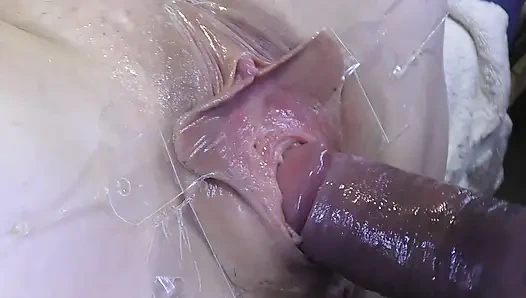 5 Чёртов Пуси Растянуты Далеко Вблизи