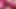 Lycra Sau