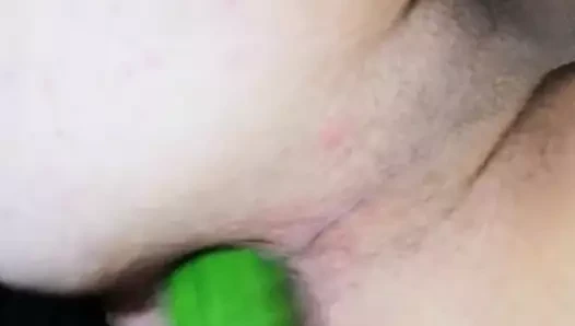 Cucumber gape anal