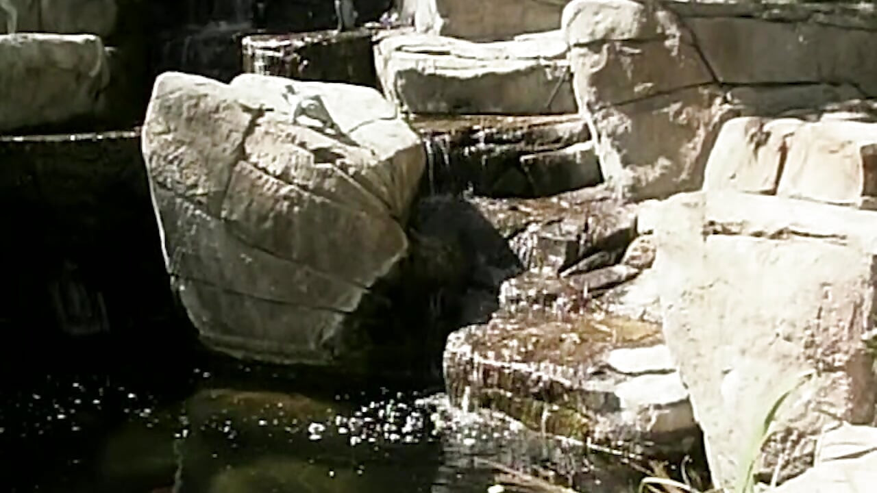 sündige Neugier kennt kein Limit mehr in einer