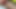 ビブロズンゲと膣