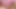 Sapphicerotica esmerler birbirlerini okşar ve yalar