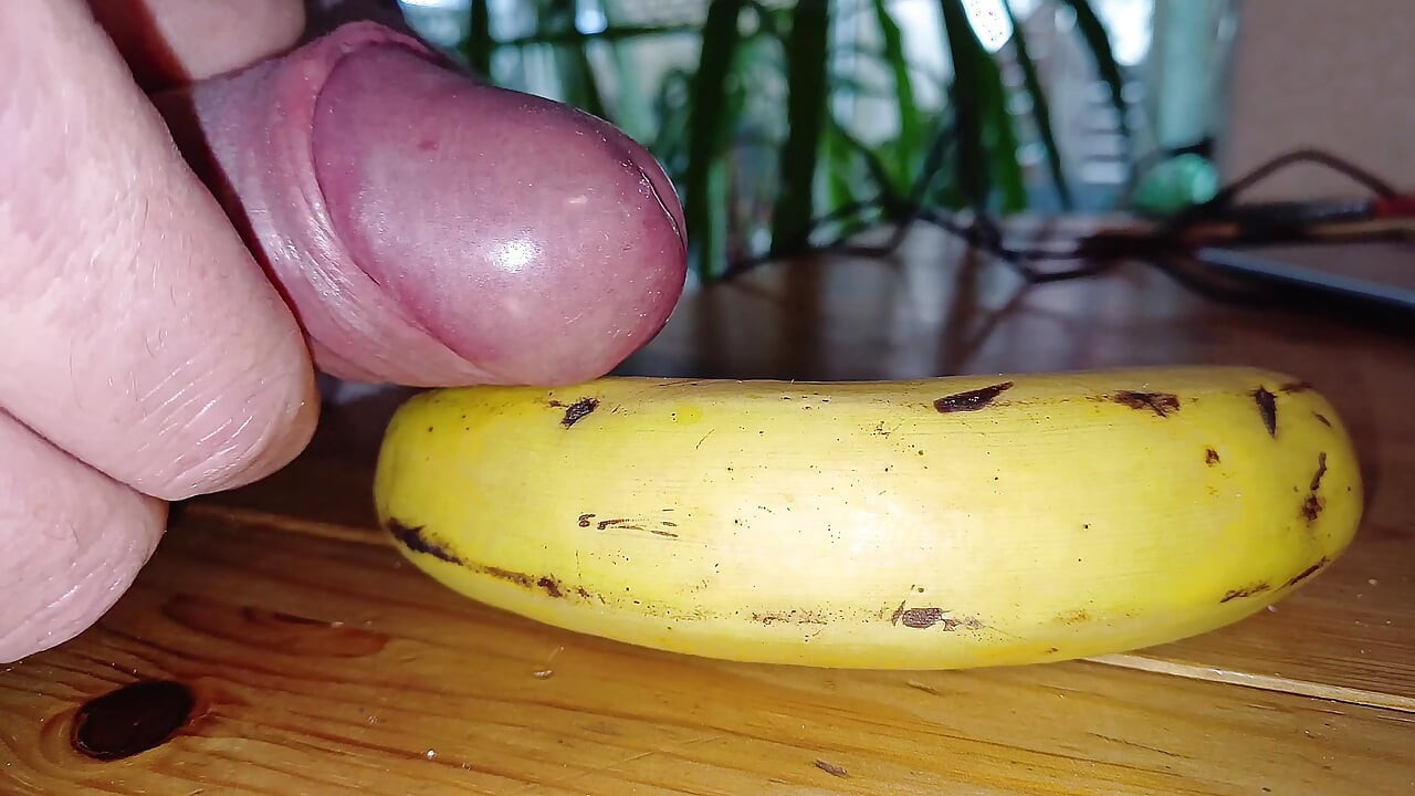DilatorDrills Sperm Parade