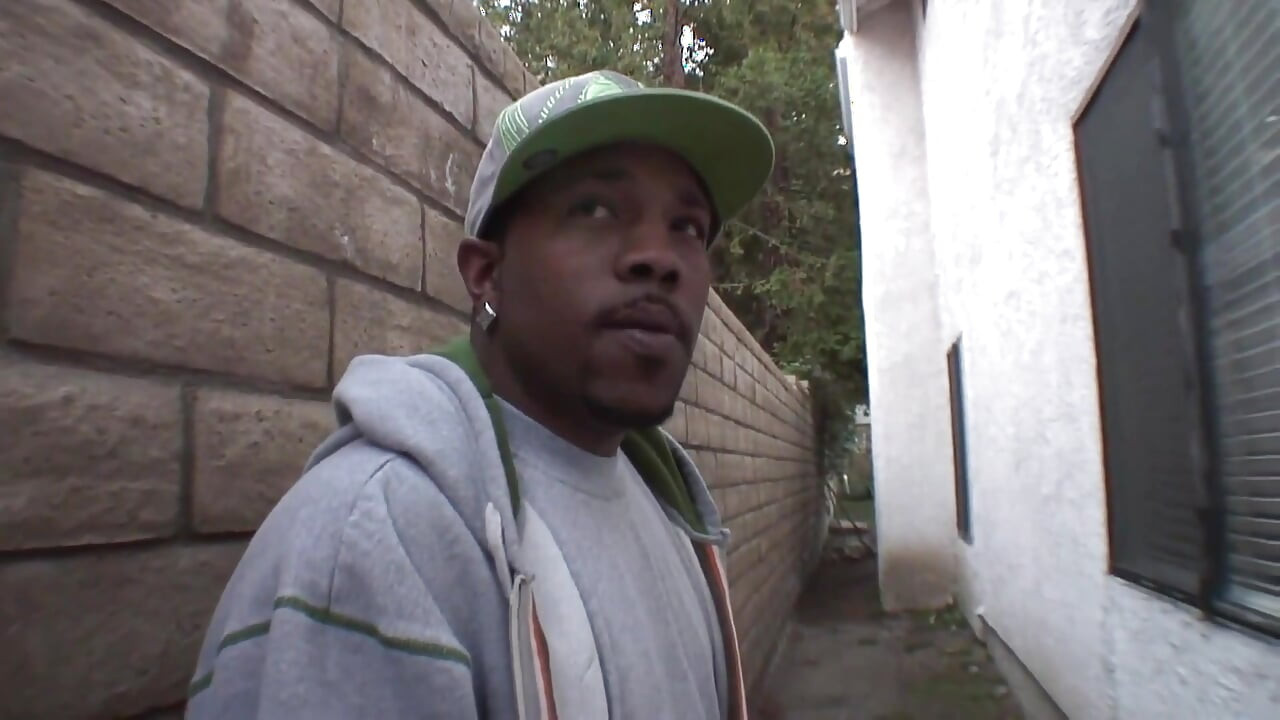 厄介な金髪の猫に巨大な黒いコック