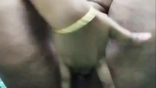 Indian Bhabhi viral sex  video fingering video