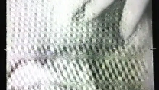 Wild Perverted Sluts