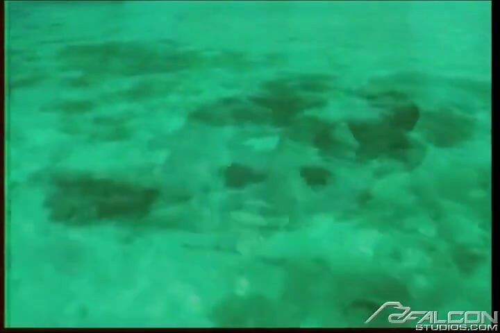 Absolute Aqua