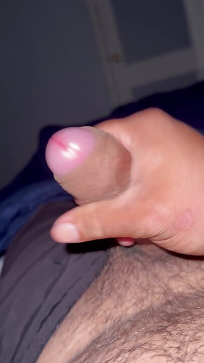 Můj penis