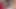 Scarlett döl fragmanında kaplanıyor