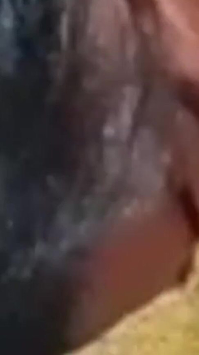 Indische desi bhabhi hardcore-fick wie eine maschine mit großem schwanz | Clip 2