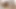 "Amcığıma boşal, papi" büyük götlü latinle ateşli romantik seks - gatita veve dölleme