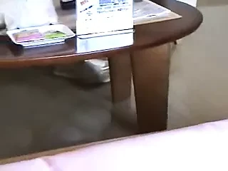 Японское дело другой жены (Накадаши)