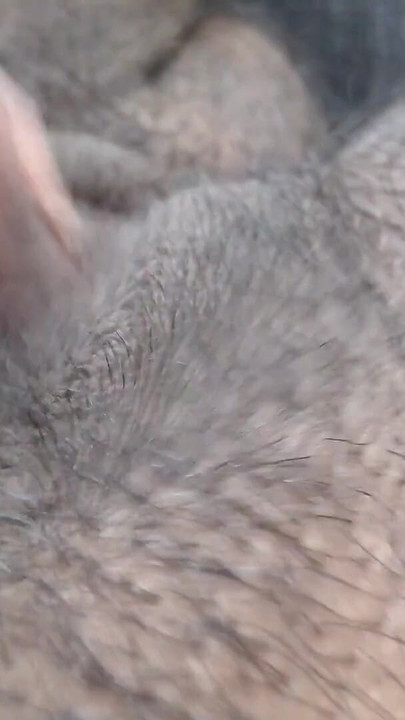 FTM having some fun with himself | Clip 2