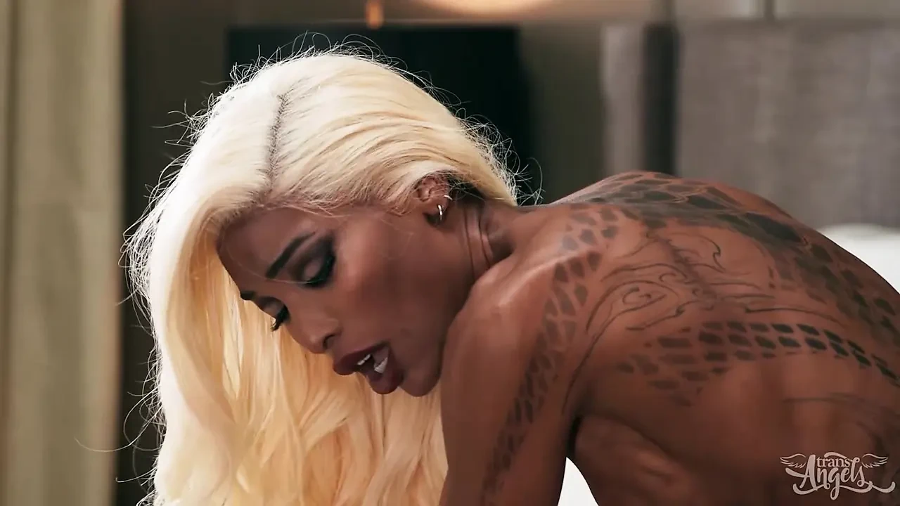 TRANS ANGELS - Natassia Dreams visszatér a TransAngelshez egy vad éjszakára Jayden Marcos-szal és szenvedélyes szexszel