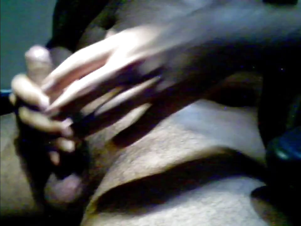 light jerking bear webcam