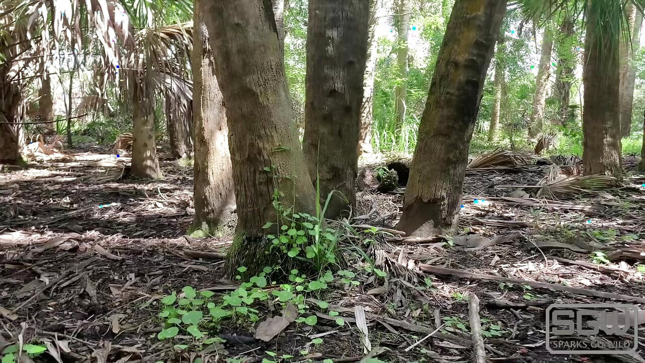 Hiking and Fucking at the Myakka River