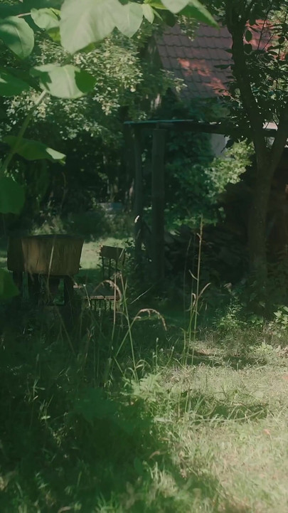 Garden Bang No Music