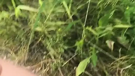 En sevdiğim eğlence çalılarda sevişmek