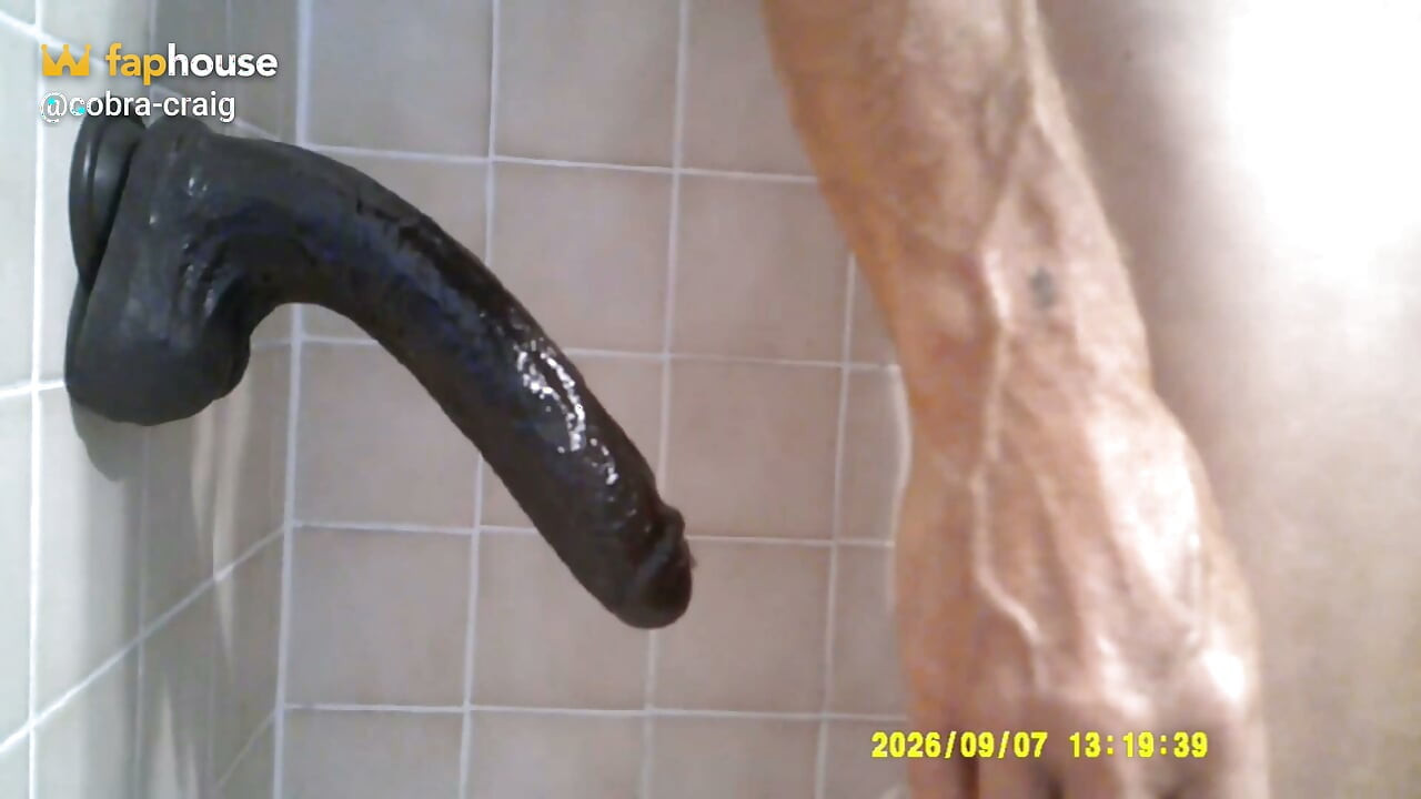 Cobra Rides Big Bad Leroy Brown Comp Over 1 Hour Enjoy My Snake Charmers