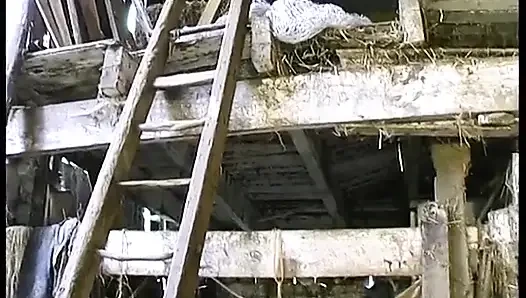 В Ch' Nord мы обожаем трахаться!