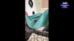 Pregled videozapisa