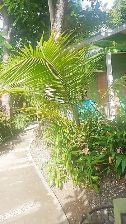 A lil slice of Paradise - Caribbean joy and delights