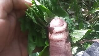Outdoor hindi porn video hindi sex video