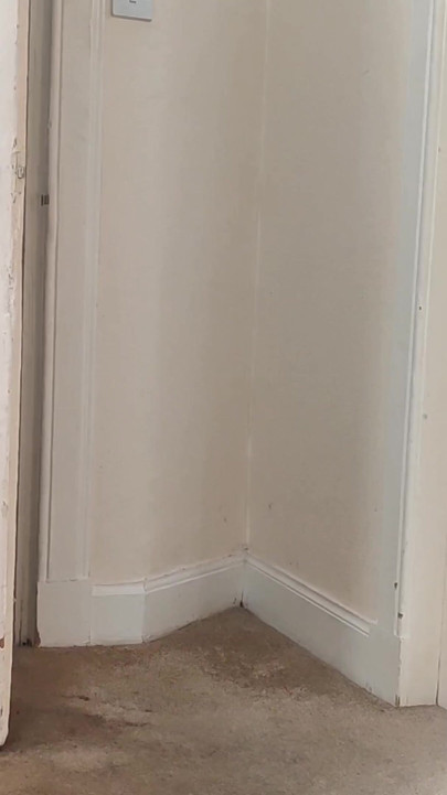 Eski sevgilim şehrinden döndü ve hızlı sekse gidiyoruz