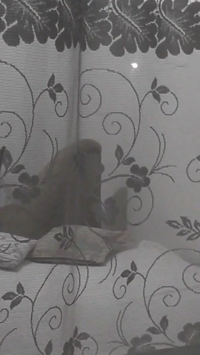 Jaw-dropping moment from "Public. Boy neighbor peeps on masturbating MILF through an opemn window"