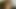 Fat Chubby Ex Gf inserting a wood stick in her Hairy Pussy