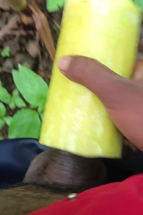 Desi Crna Zemlja