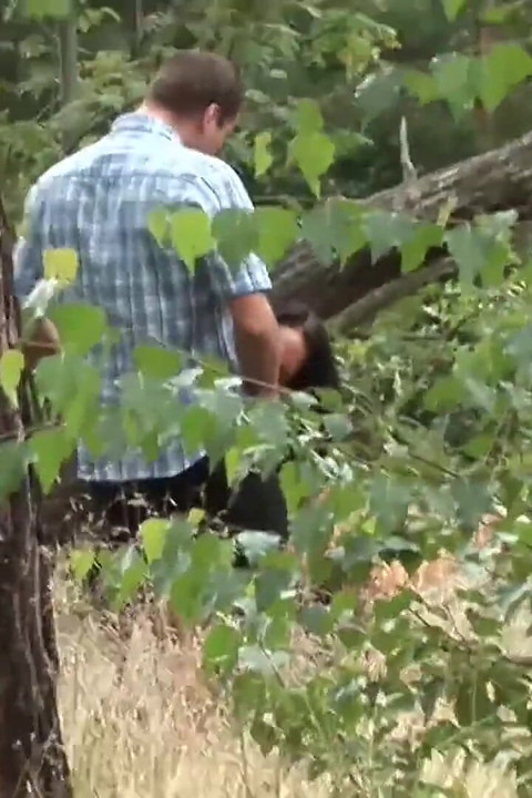 Amazing sex in the wood