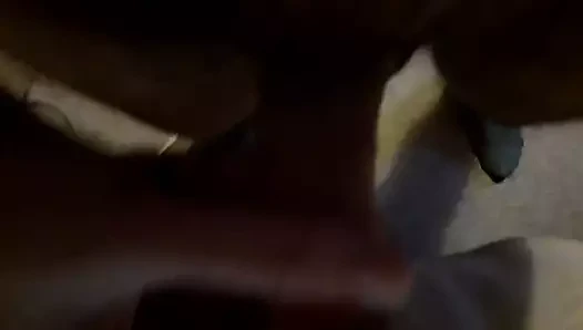 Bir kedi oyuncakla oynamak