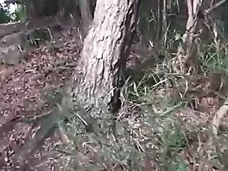 Japanese woman outdoor doggy