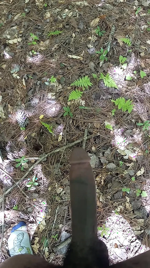 cuming in the wood