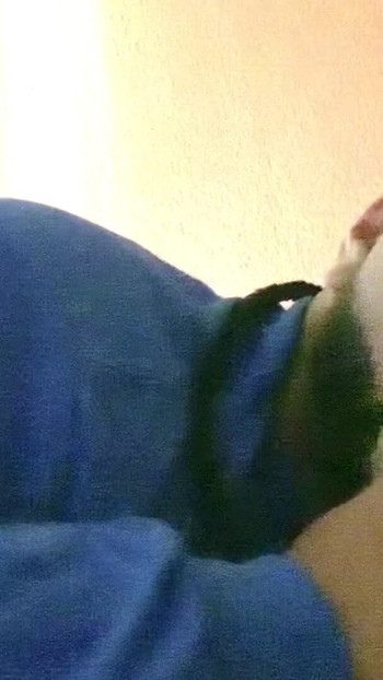 Spectacular moment from "My friends curious straight dad loves his dick in my mouth"