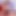 Femboy Ken Cute: İç Çamaşırı ve Anal Eğitim Solo