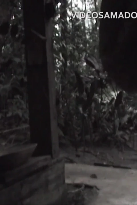 天赋异禀的黑人在灌木丛中的废弃小屋里乱搞淫新娘