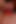 Wahnsinniges schwanzmelken teil 13: doppel-dildo anal &arsch-zu-mund mit Herrin Stellina Obscura