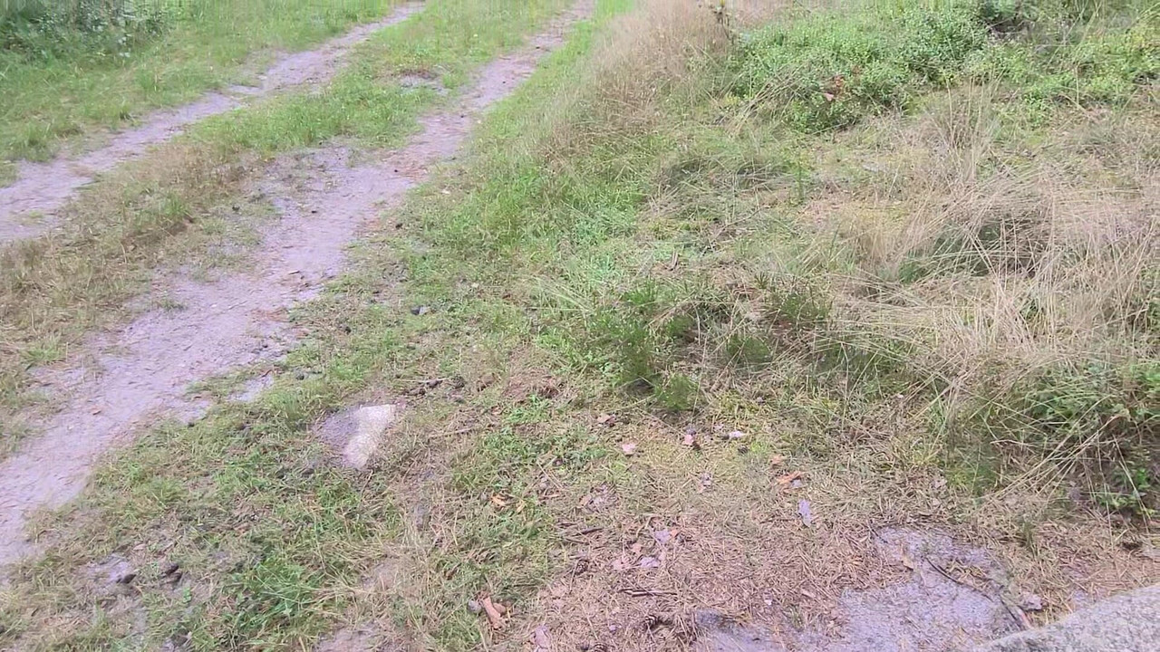 割礼