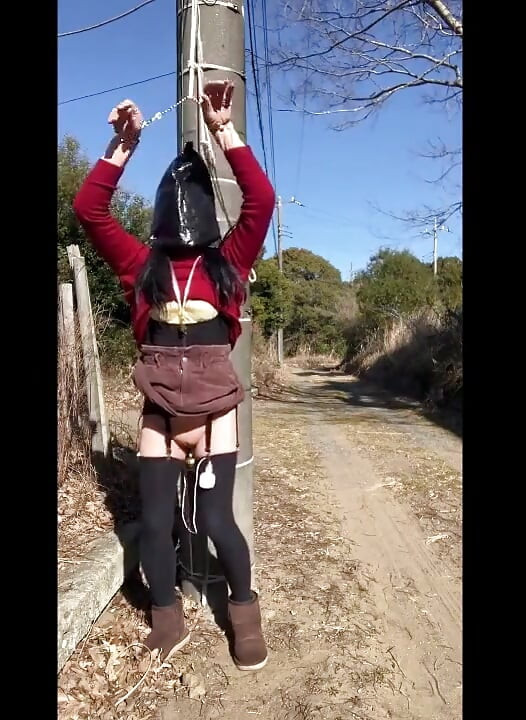 Master's Training Session No. 101: Outdoor Blindfolded Vibrator Training