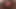 cumshots inside fleshlight compilation from xhamster users
