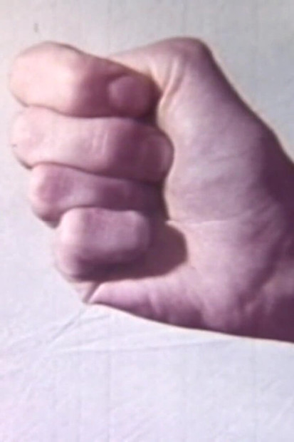 官能的なセックスラット