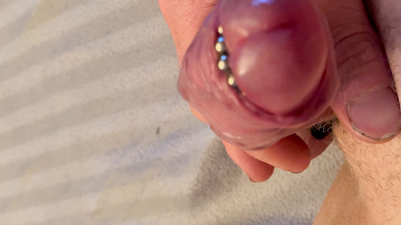 Penis