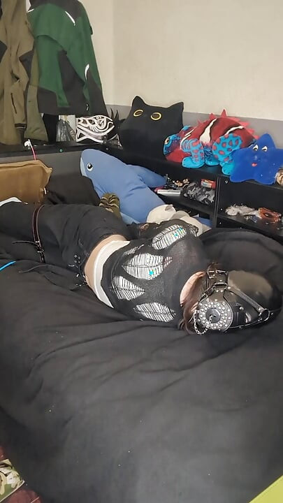 zkouším head harnes hogtie