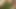 Devar aur bhabhi ki uncut hindi sex video, devar ne apni bhabhi ko farsh par litakar khood pela
