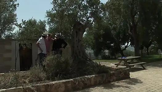 Kompilasi, tur ngentot