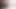pov bwa köpek bbc