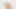 WildLife Game Adult Game Sex Review 18+
